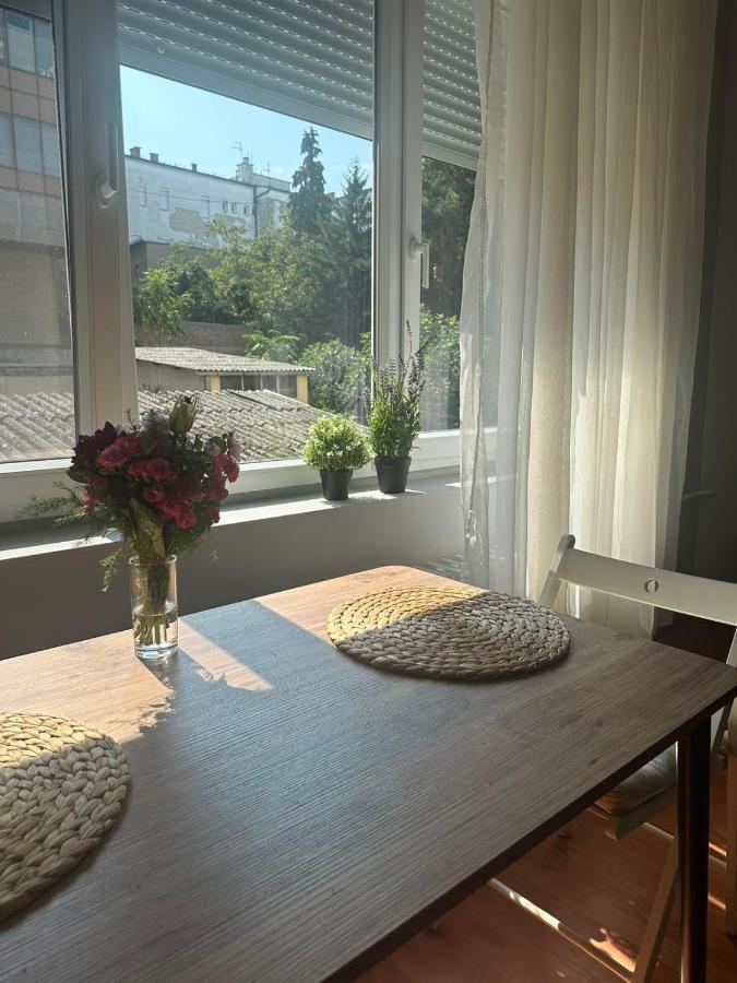 Eva Apartment Novi Sad Exterior photo